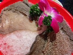 -大龙燚火锅(南山大道店)