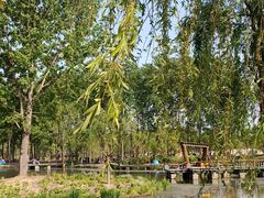-东郊湿地公园