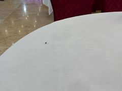 -渔民新村(番禺总店)