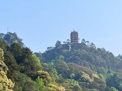 -缙云山景区