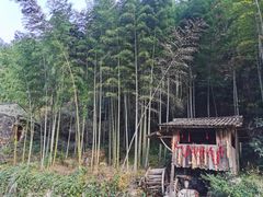 -林坑古村落