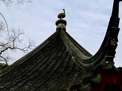 -香雪海