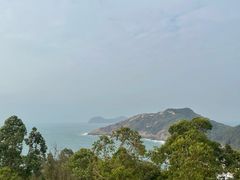 -广东惠东海龟国家级自然保护区
