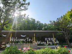 -大望京公园