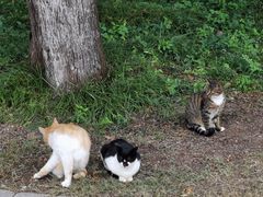 -狼山风景名胜区