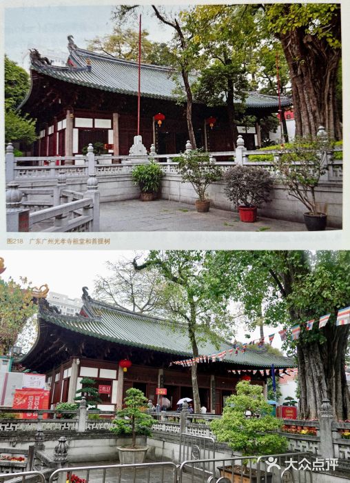 光孝寺图片