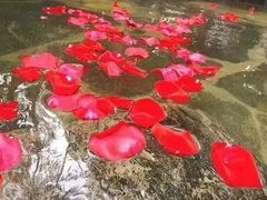 -西安国际创新人才交流中心•药浴温泉