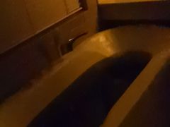 -花湖会所·高端水疗商务泡浴SPA(高新店)