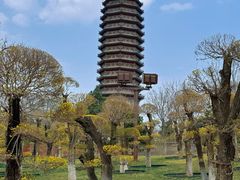 -西海子公园