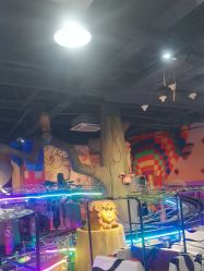 -卡通尼·Safari非洲探索乐园·生日会(金桥国际商业广场店)