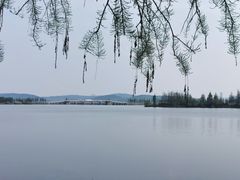 -东湖落雁景区