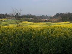 -樱桃山旅游景区