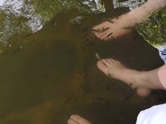 -西安国际创新人才交流中心•药浴温泉