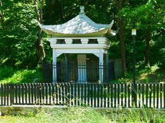 -白水寺森林公园