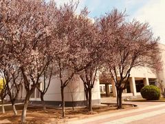 -宿迁学院