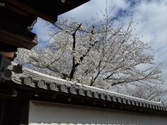 -醍醐寺