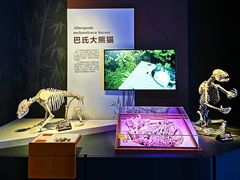 -重庆自然博物馆(新馆)