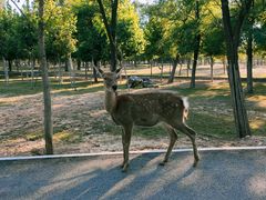 -秦皇岛野生动物园