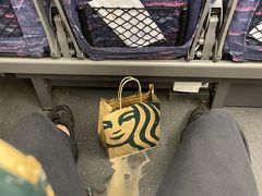 -星巴克(广州南站3层-A5口店)