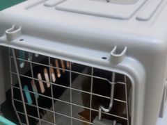 -美联众合24小时·皮肤科·外科·全科诊疗中心(华苑分院)