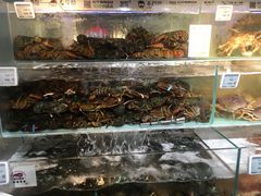 -超级物种(省府店)