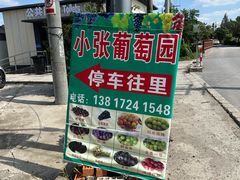 -马陆小张葡萄园农家乐