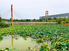 -祥源·阜阳生态乐园