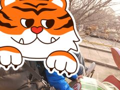 -朝阳公园游乐园