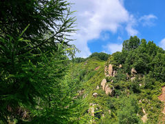 -驼梁风景区
