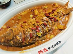 红烧黄河鲤鱼-阿五黄河大鲤鱼(英协路店)