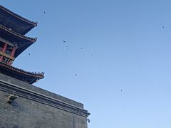 -秦始皇帝陵博物院(兵马俑)