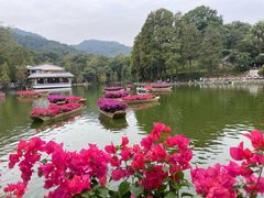 -广州市白云山风景名胜区