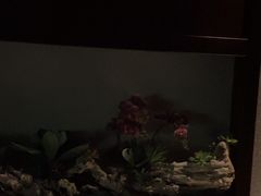 -大桶大足浴(武夷店)
