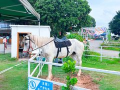 -长洲岛都市农业公园