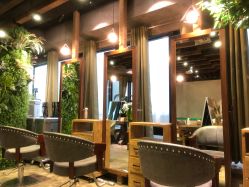 -V-STAR威斯达•高级私人定制