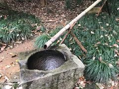 -梦姑塘文化公园