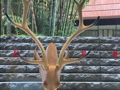 -上海衡山路十二号华邑酒店