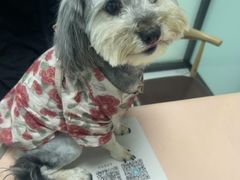 -嘉馨宠物医院·CT影像转诊·心脏科·犬猫全科诊疗中心(下沙大学城院区)