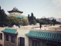 -武汉大学-樱园