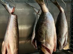 -南风(淮海街店)