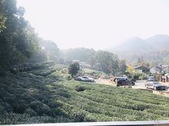 -杭州西湖风景名胜区-满觉陇四眼井