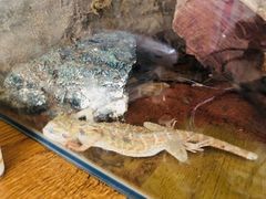 -平行世界·猫咖(首经贸店)