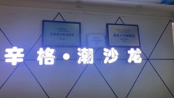 点击看大图 -辛格·潮沙龙