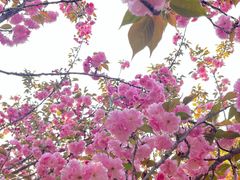 -达活泉公园