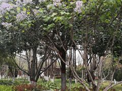-莲湖公园
