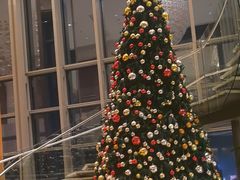 -视界美食自助餐厅·石家庄希尔顿酒店