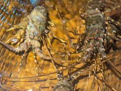 -拉完海鲜大排档(温岭店)