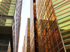 -香港皇家太平洋酒店