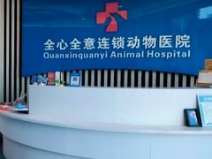 -全心全意动物诊疗中心医院(北苑店)