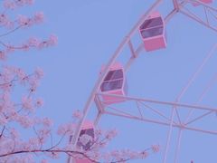 -顾村公园